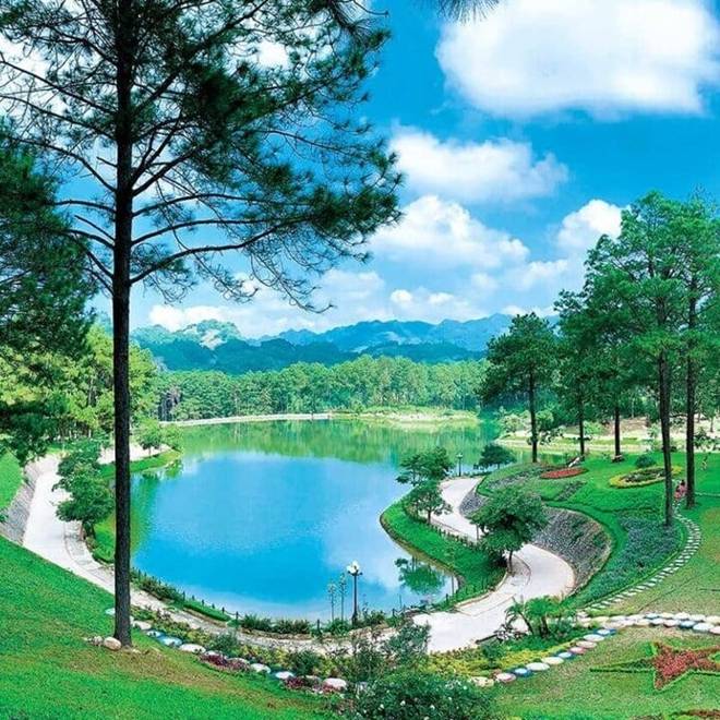 Trải nghiệm du lịch rừng thông Bản Áng-1