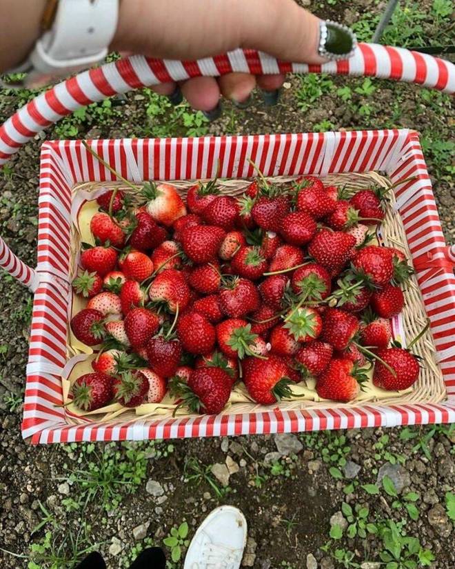 Trải nghiệm du lịch rừng thông Bản Áng-3