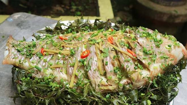 3 món ăn ngon từ lá đinh lăng rất dễ làm-3