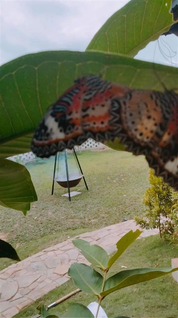 Vợ chồng Trường Giang - Nhã Phương tậu cơ ngơi mới ở Đà Lạt-13