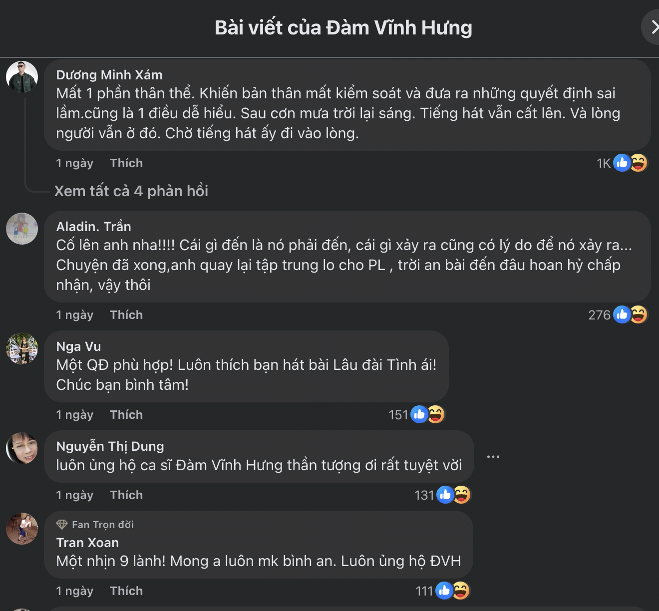 Phản ứng của dư luận sau khi Đàm Vĩnh Hưng rút đơn kiện chồng tỷ phú của ca sĩ Bích Tuyền-4