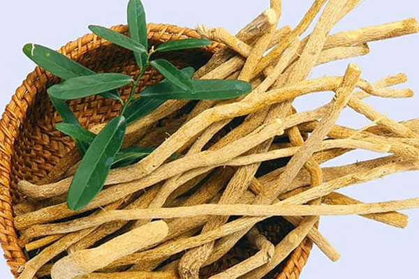 Quyết định khiến nhiều người bệnh ung thư ngày càng trầm trọng-2