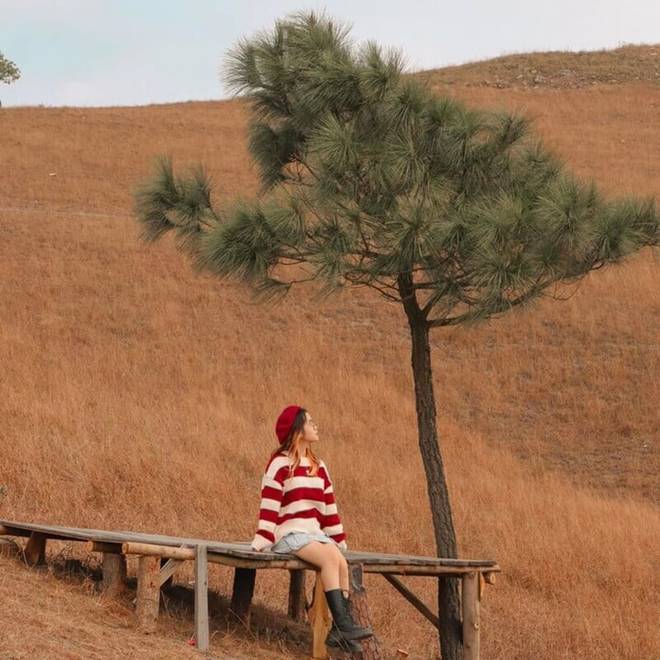 Check in đỉnh Phượng Hoàng mùa cỏ cháy-1