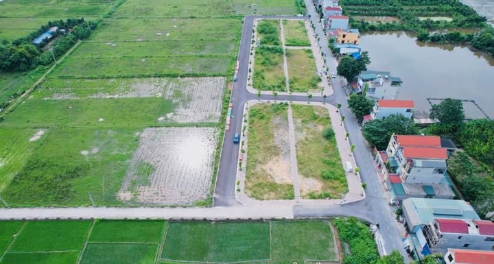 Huyện Thanh Oai, Hà Nội tạm dừng đấu giá 39 lô đất trong tháng 12-1