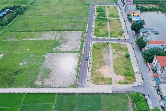 Huyện Thanh Oai, Hà Nội tạm dừng đấu giá 39 lô đất trong tháng 12