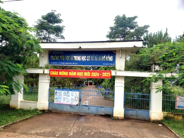 Hiệu trưởng lập khống hồ sơ tăng giờ, tự ý bán cây xanh-1