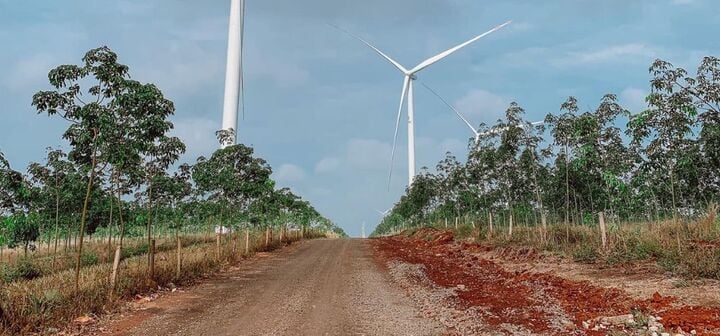 Cánh đồng điện gió ở Gia Lai có gì mà giới trẻ mê mẩn?-1