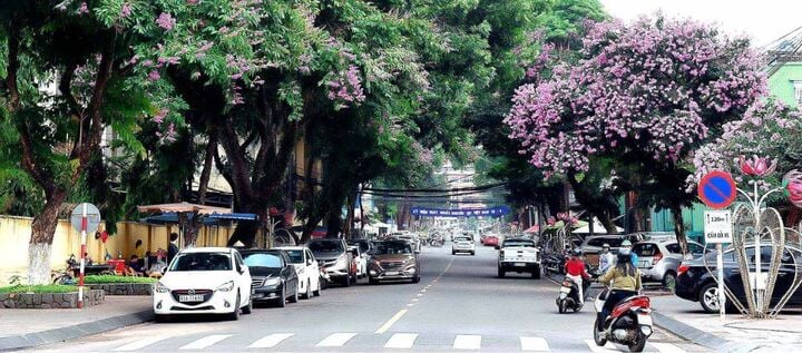 Cánh đồng điện gió ở Gia Lai có gì mà giới trẻ mê mẩn?-2