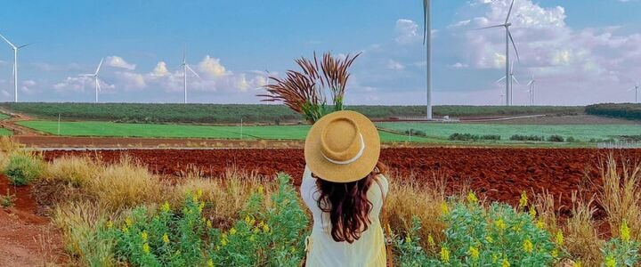 Cánh đồng điện gió ở Gia Lai có gì mà giới trẻ mê mẩn?-4