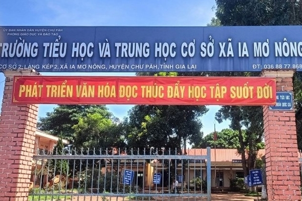 Vụ thầy giáo thuê người dạy thay: Kiểm điểm hiệu trưởng và giáo viên-2