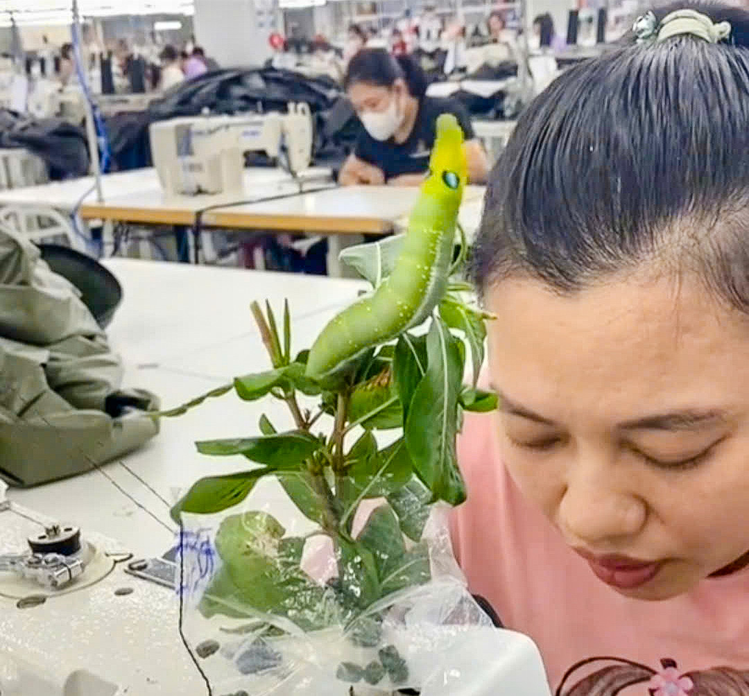 Nữ công nhân ở Hà Nam có ‘thú cưng’ đặc biệt, cả công ty xôn xao-1