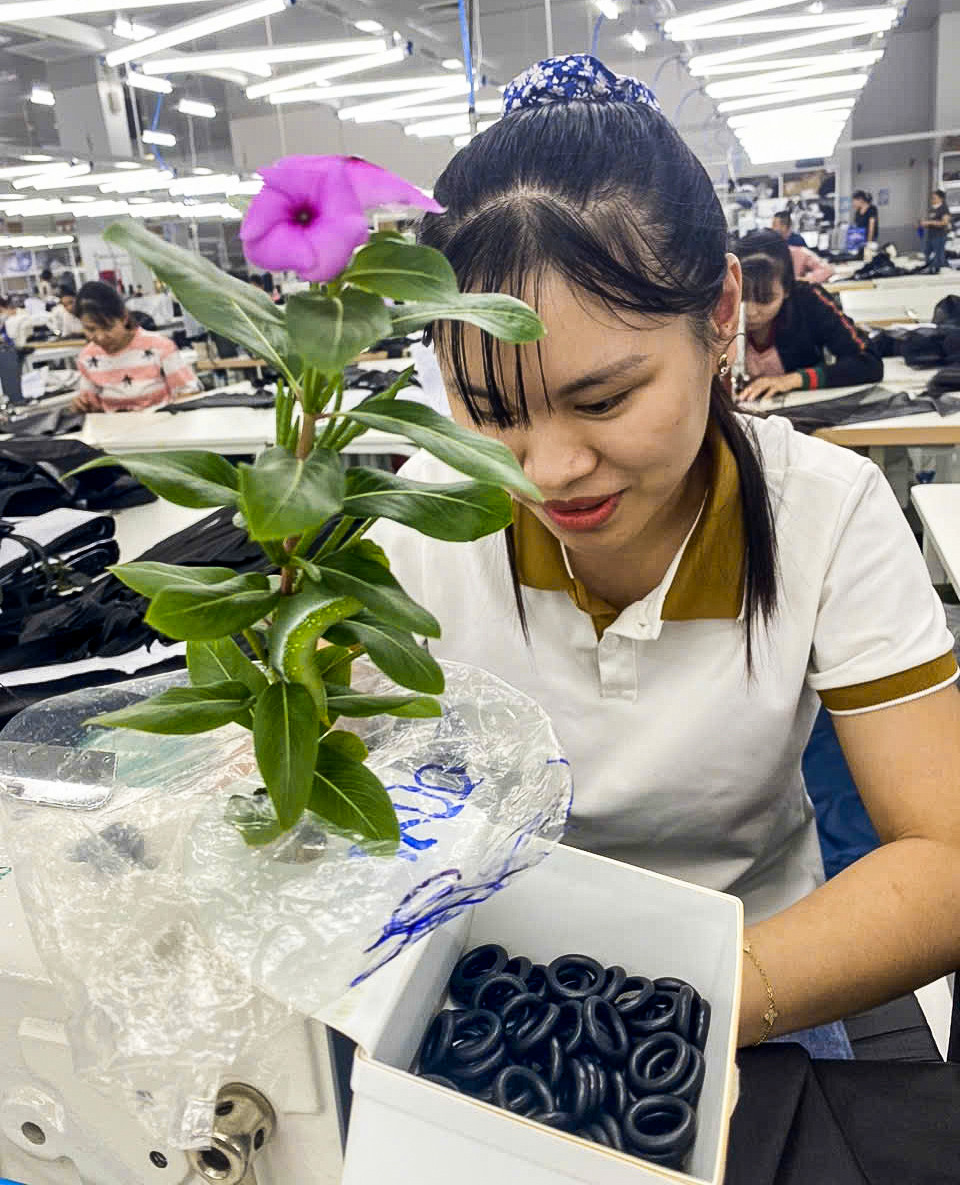 Nữ công nhân ở Hà Nam có ‘thú cưng’ đặc biệt, cả công ty xôn xao-3