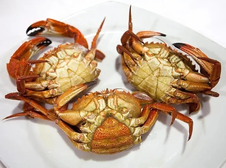 Cách phân biệt cua gạch và cua thịt-2