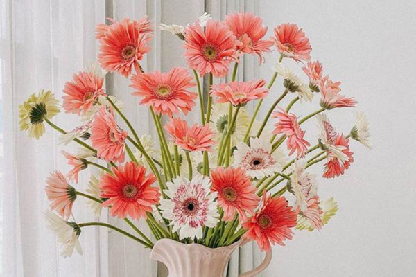 Về nhà mới không nên cắm những loại hoa này kẻo ảnh hưởng phong thủy-4