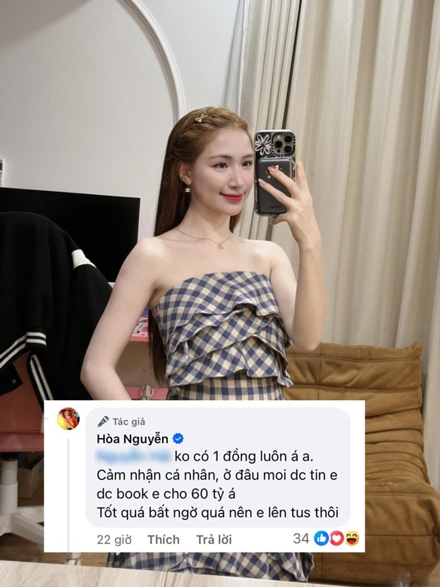 Ca sĩ Hòa Minzy treo thưởng 60 tỷ vì lý do gì?-1