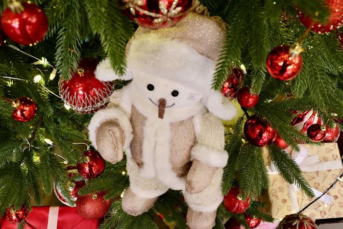 Thị trường Noel Hà Nội: Sản phẩm đa dạng, người mua cầm chừng-12