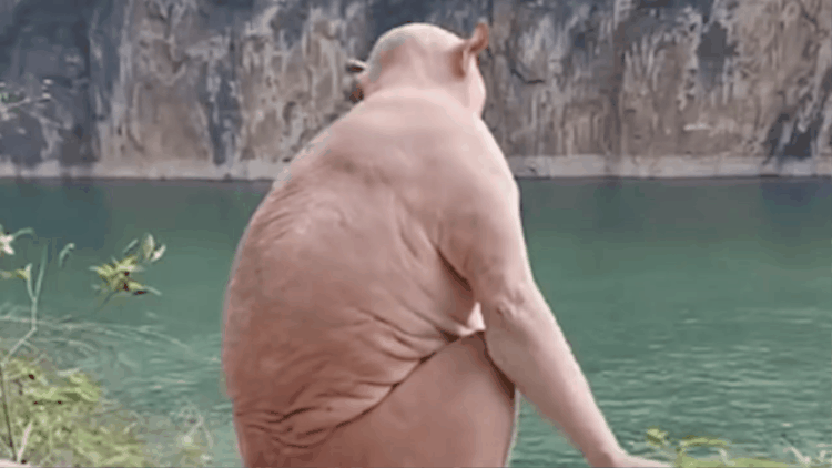 Khỉ không lông như loài ngoài hành tinh gây sốt cõi mạng-3