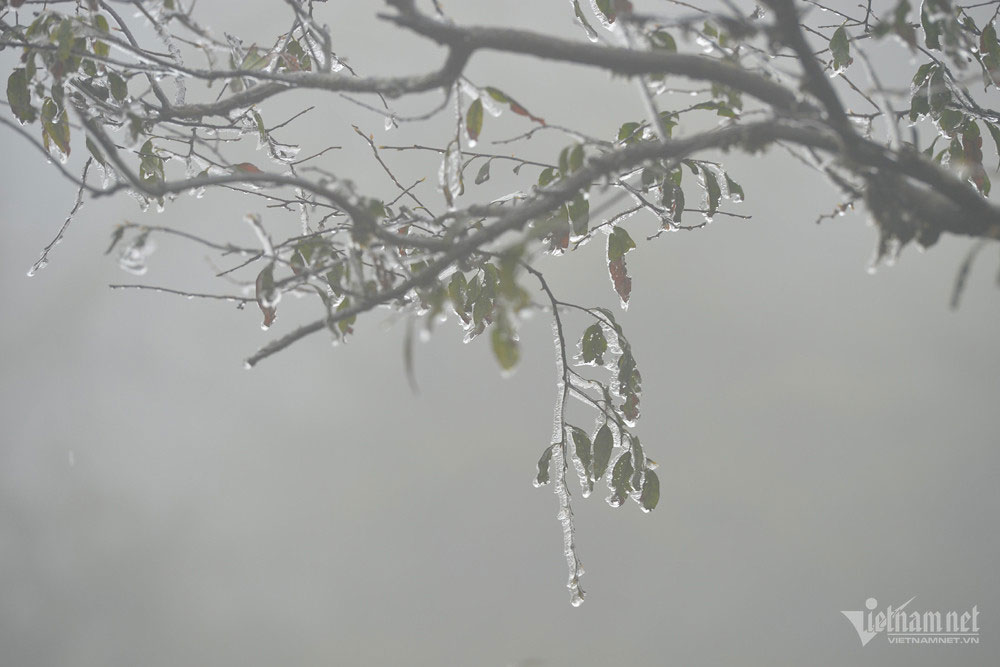 Miền Bắc cao điểm rét đậm, rét hại vào cuối tuần-1