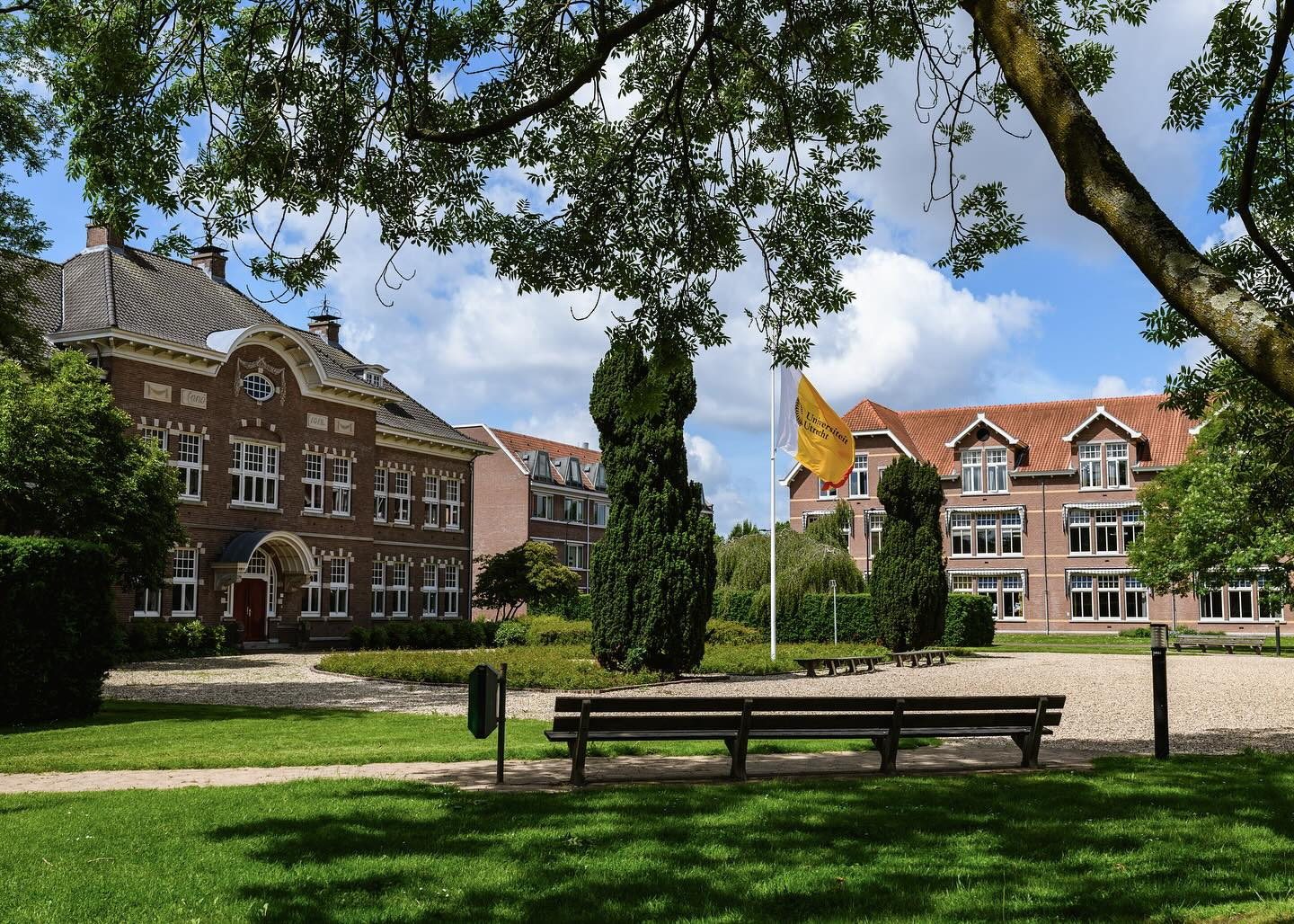 Giáo sư y khoa bị thu hồi bằng tiến sĩ vì gian lận dữ liệu nghiên cứu-2