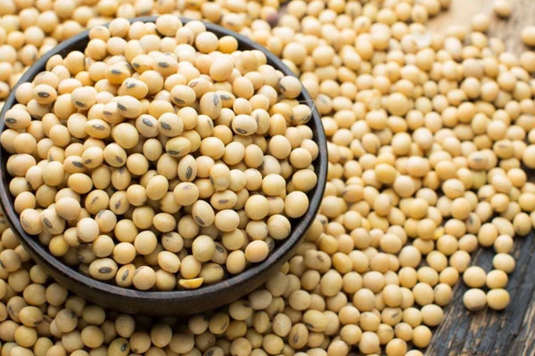 Những thực phẩm càng ăn xương càng rỗng, nhiều người không hay vẫn dùng mỗi ngày-2