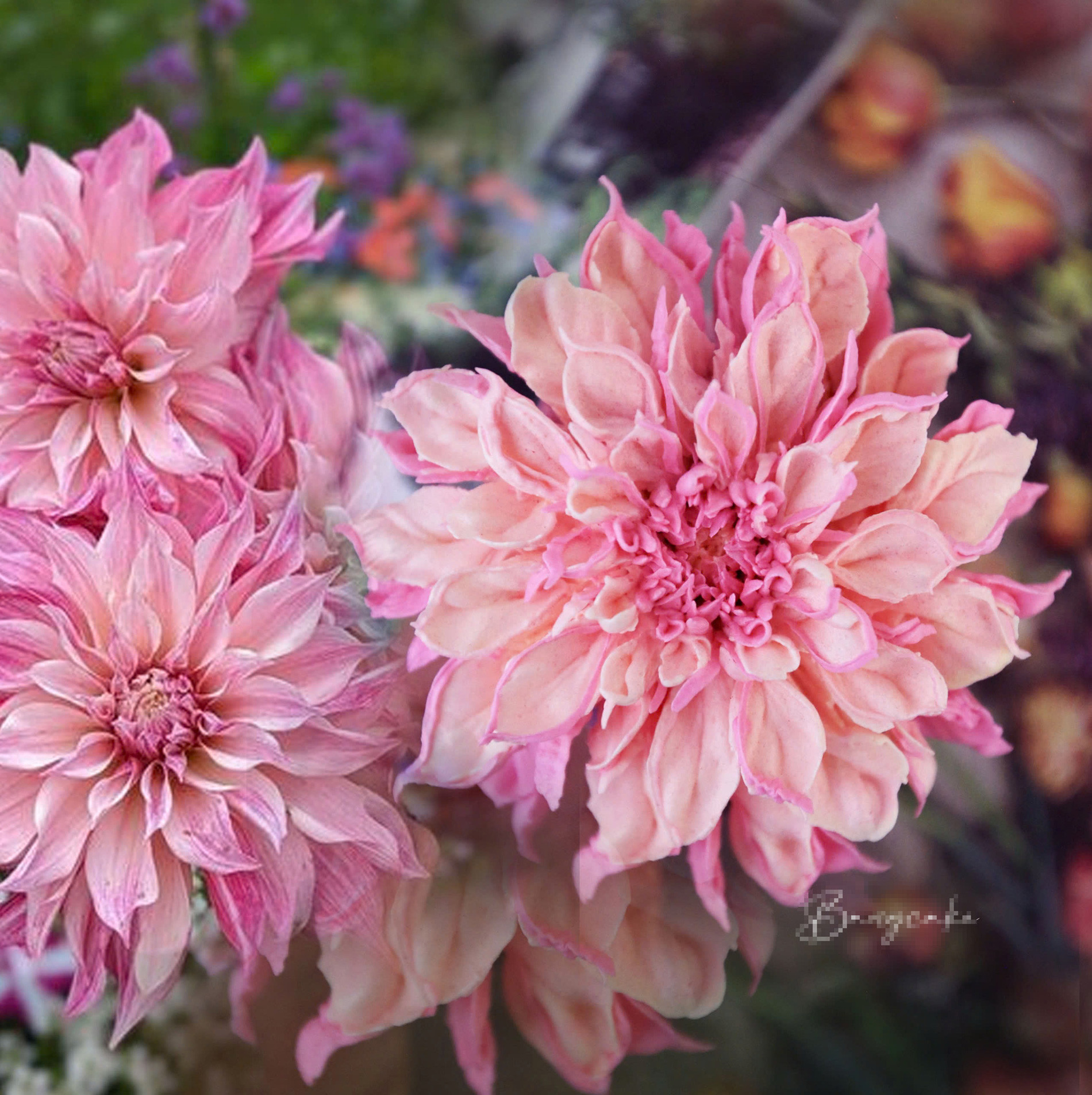 Bỏ việc văn phòng, người mẹ ở Hà Nội làm bánh hoa 10 triệu đồng gây tranh cãi-10