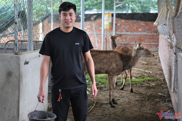 Bỏ việc lương cao, chàng trai về quê nuôi hươu thu 600 triệu đồng mỗi năm-1