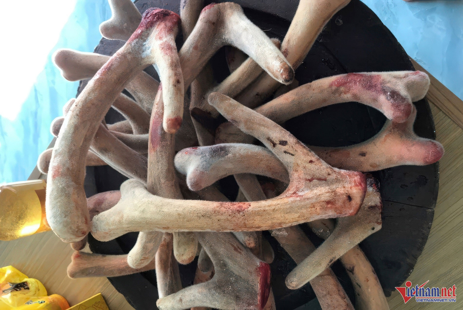 Bỏ việc lương cao, chàng trai về quê nuôi hươu thu 600 triệu đồng mỗi năm-3