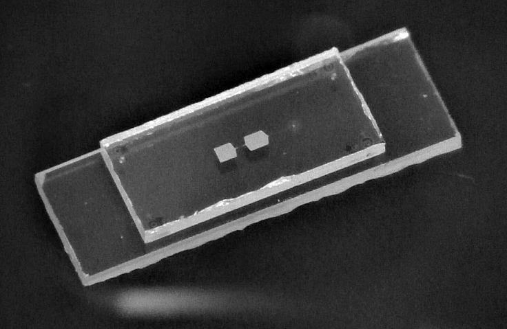 Thiên tài Vật lý làm dậy sóng nền khoa học thế giới-2