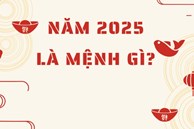 Năm 2025 mệnh gì?