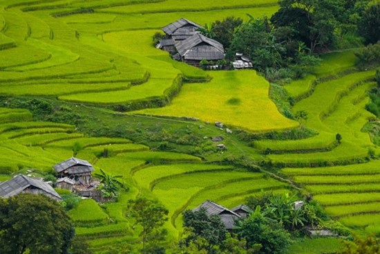 Đường đá cổ xuyên rừng đầy cảnh kỳ vĩ, hứa hẹn hút khách du lịch