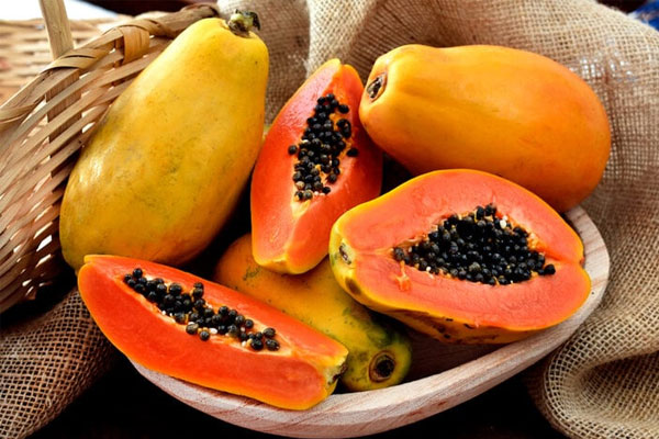 Bất ngờ tìm thấy chất chống ung thư trong loại nấm bán đầy chợ Việt, người Việt nên ăn theo cách này để kéo dài tuổi thọ-4