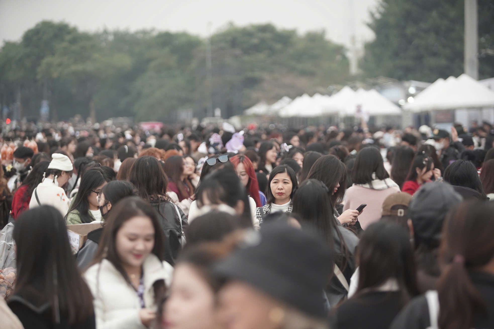 Cảnh fan vạ vật-14