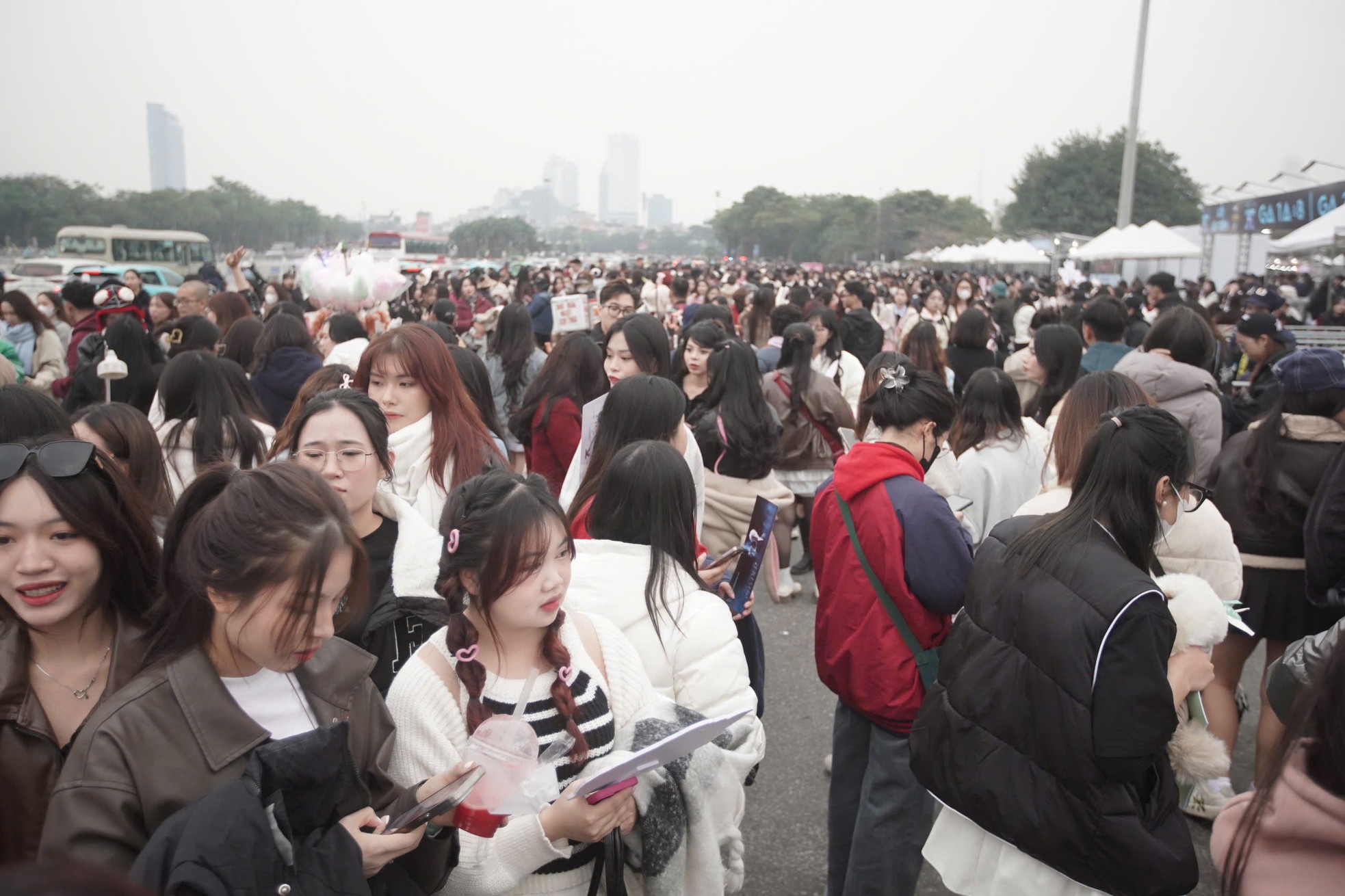 Cảnh fan vạ vật-15