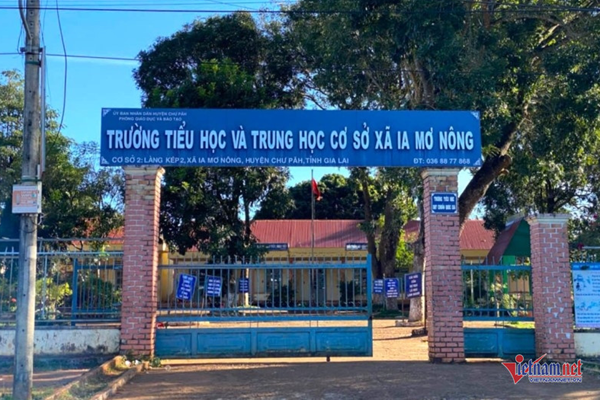 Giáo viên thuê người dạy thay nói gì?-2