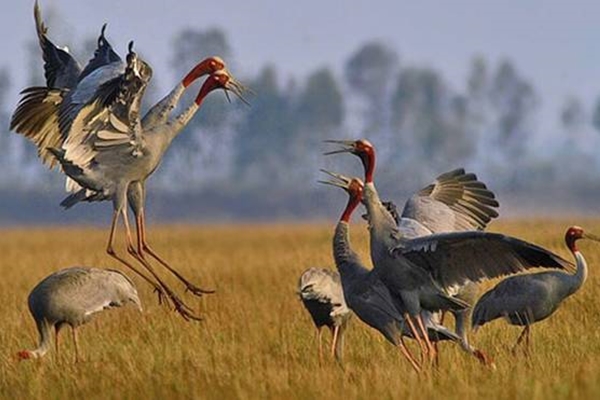 Kinh nghiệm du lịch Kon Tum từ A tới Z-10