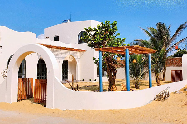 Trồng đinh lăng trong nhà có ý nghĩa gì về phong thuỷ?-3