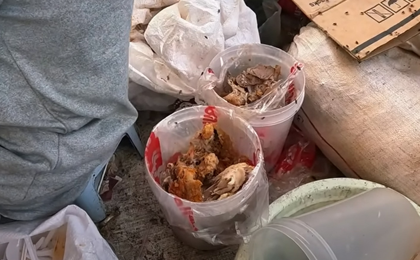 Khách Việt ghé khu ổ chuột ở Philippines, ngỡ ngàng thấy cảnh trên đường-4