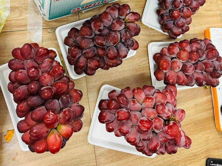 Cách phân biệt nho ta và nho Trung Quốc-2