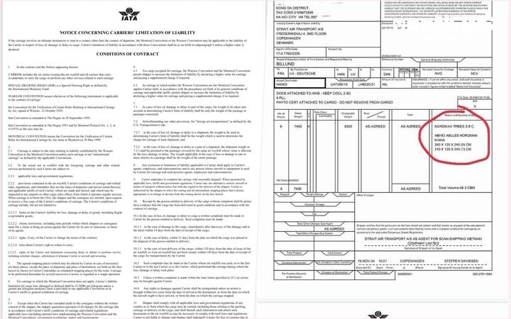 Thông tươi nhập khẩu ồ ạt tràn về Việt Nam, giá lên đến cả trăm triệu đồng-2
