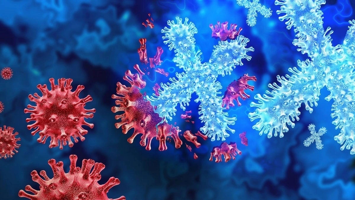 Dịch bệnh bí ẩn ở Congo: WHO nghi ngờ là sốt rét, loạt quốc gia hành động khẩn-1