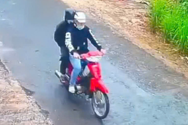 Người đàn ông leo lên ngọn dừa trốn sau khi cướp tiệm vàng tại Bình Định-3