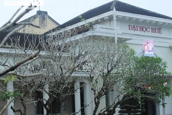 Bộ Giáo dục yêu cầu ĐH Huế đánh giá lại nội dung luận án của tiến sĩ bị tố đạo văn-1