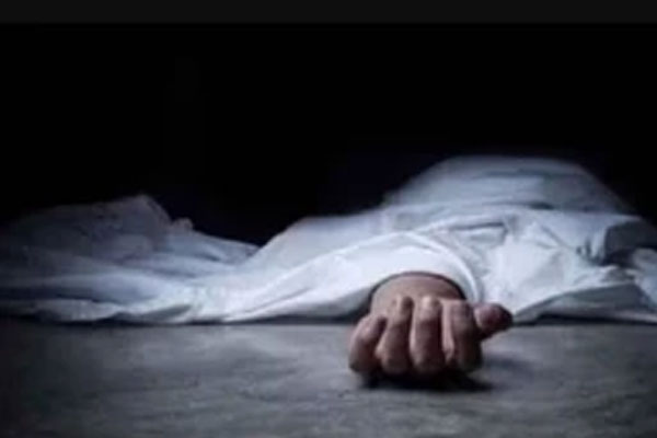 Phát hiện bí mật đáng sợ trong bụi rậm phía sau ngôi nhà-2