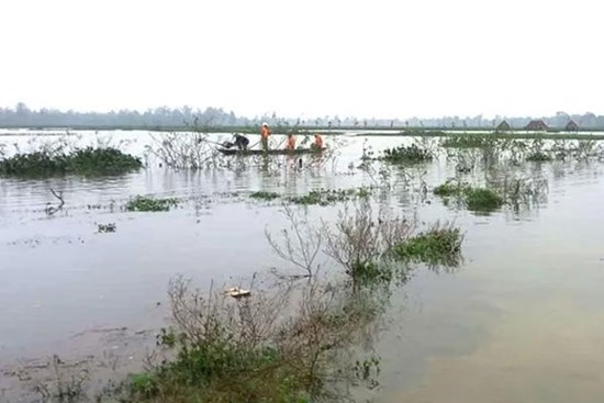 Lật ghe khi đánh bắt cá trong đêm, hai mẹ con tử vong