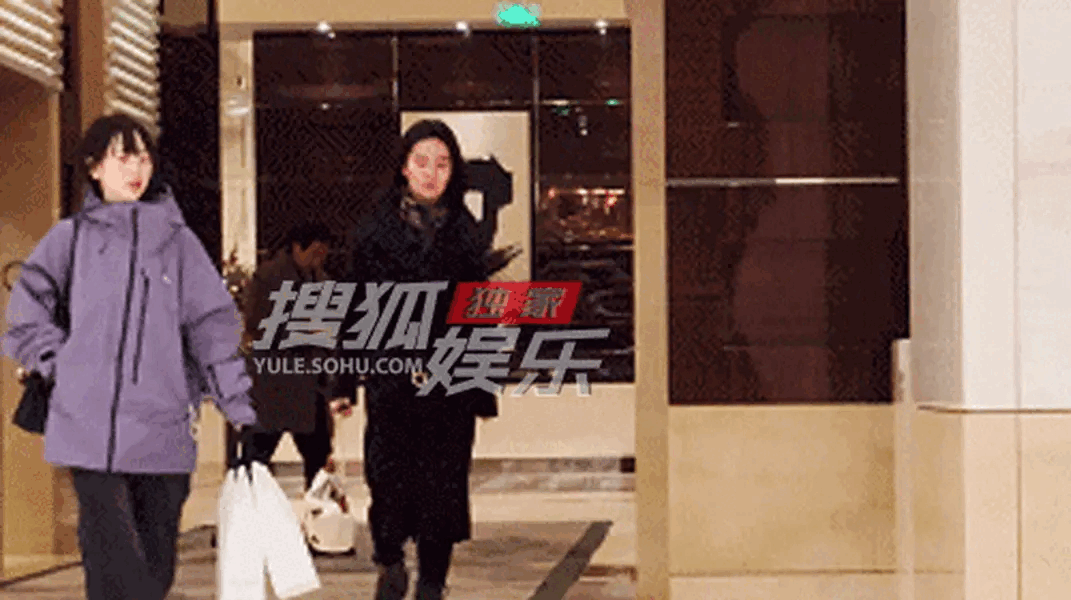 Lưu Diệc Phi bên cha nuôi tỷ phú-1