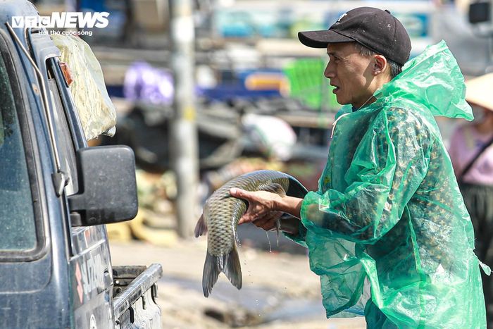 Tiểu thương chợ cá tay trần ngâm nước lạnh, khiêng đá trong ngày rét buốt-13