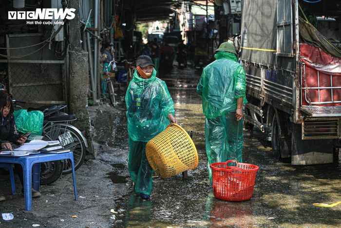 Tiểu thương chợ cá tay trần ngâm nước lạnh, khiêng đá trong ngày rét buốt-1