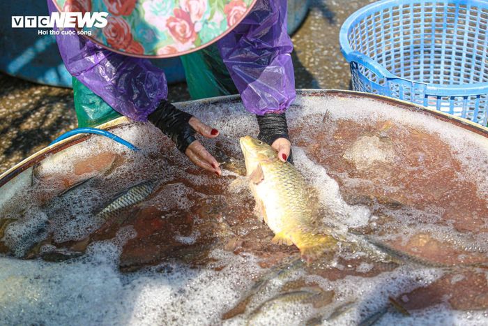 Tiểu thương chợ cá tay trần ngâm nước lạnh, khiêng đá trong ngày rét buốt-11