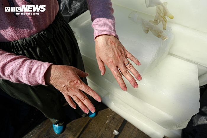 Tiểu thương chợ cá tay trần ngâm nước lạnh, khiêng đá trong ngày rét buốt-8