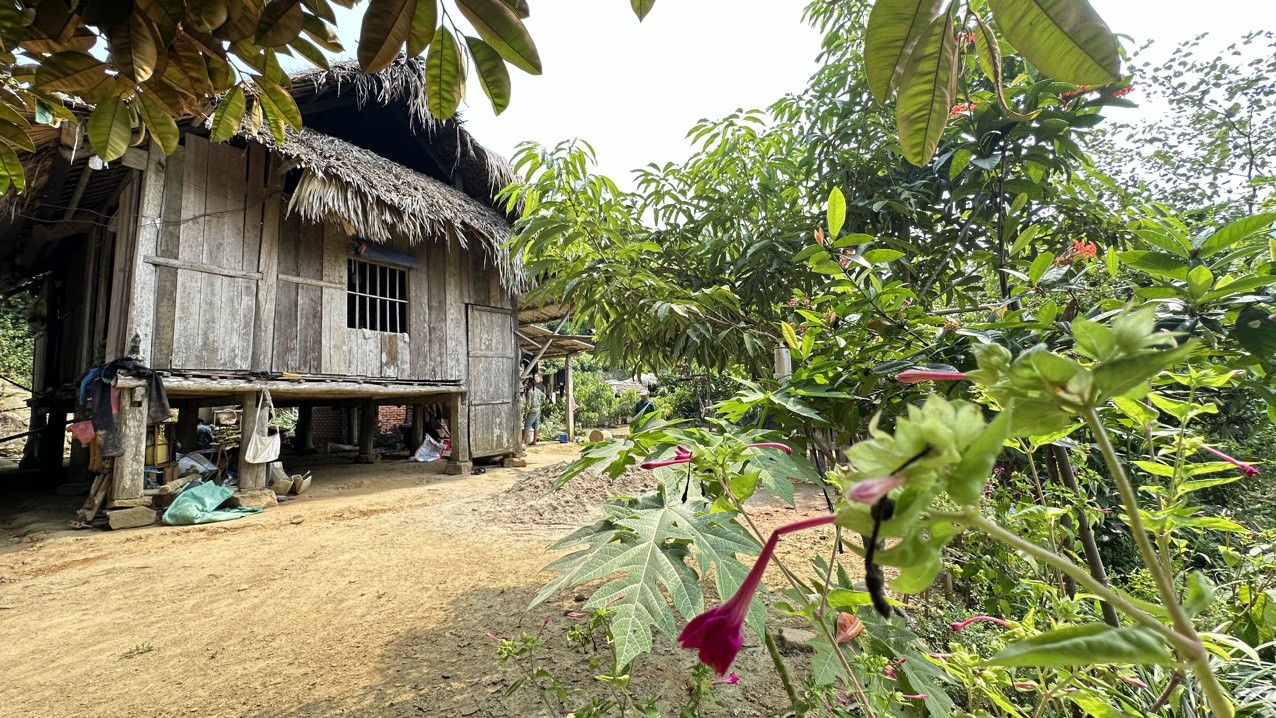 Khách Tây sang Việt Nam du lịch, thích thú nhổ cỏ, nấu cám lợn, dắt trâu đi cày-3